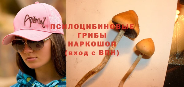 спайс Алексин
