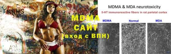 ПСИЛОЦИБИНОВЫЕ ГРИБЫ Алзамай