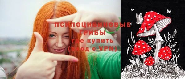 спайс Алексин