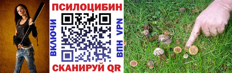 kraken маркетплейс  Яровое  Галлюциногенные грибы Magic Shrooms 